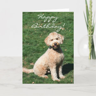 Joyeux Anniversaire Mini Goldendoodle carte de voe