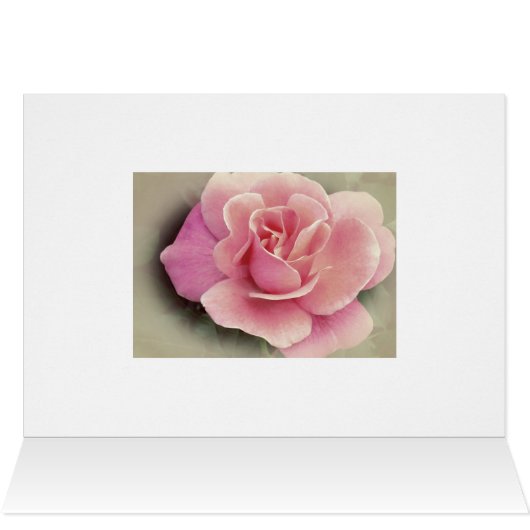 Joyeux Anniversaire, Mon Amour/ Rose (Intérieur Horizontal (Haut))