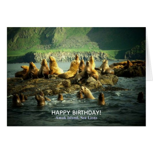 Joyeux Anniversaire Otaries de l'Île Amak (Devant Horizontal)