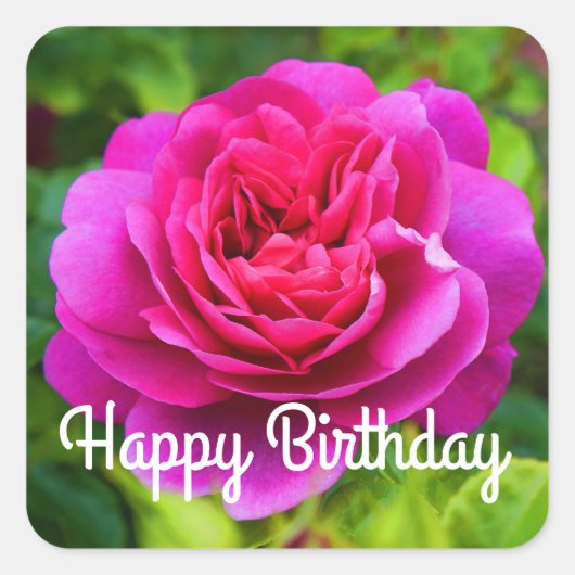 Joyeux Anniversaire Princesse Anne Rose #1 Sticker (Devant)