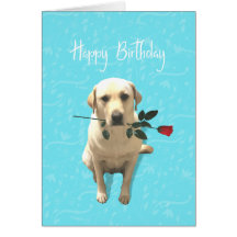 Joyeux anniversaire, Retriever Dog avec Rose, Ador
