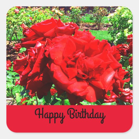 Joyeux Anniversaire Rose rouge #1 Stickers (Devant)
