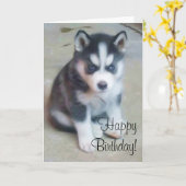 Joyeux anniversaire Sibérien carte de voeux husky (Fleur jaune)