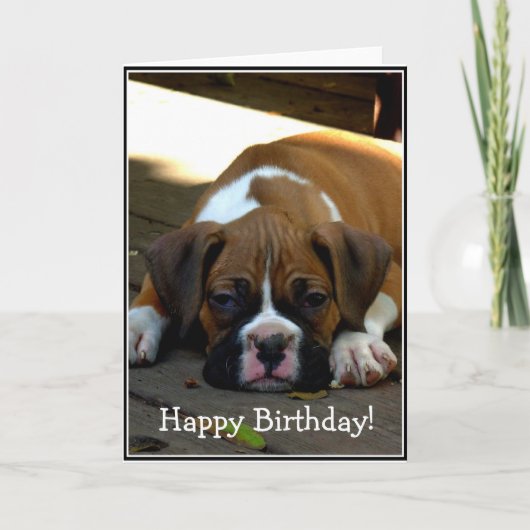 Joyeux Anniversaire Sleepy boxer chiot carte de vo (Devant)