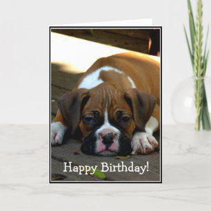 Joyeux Anniversaire Sleepy boxer chiot carte de vo