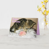 Joyeux anniversaire - Tabby Kitten carte d'anniver (Fleur jaune)
