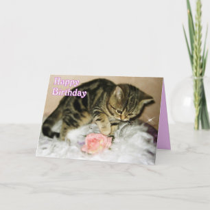 Joyeux anniversaire - Tabby Kitten carte d'anniver