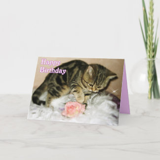 Joyeux anniversaire - Tabby Kitten carte d'anniver