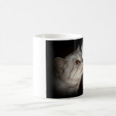 Joyeux anniversaire - tasse de chat (Centre)