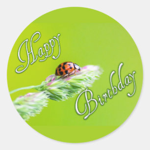 Joyeux autocollants d'anniversaire avec un coccine