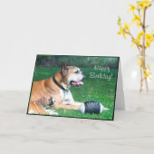 Joyeux Birthday Boxer papa et chiot carte de voeux (Fleur jaune)