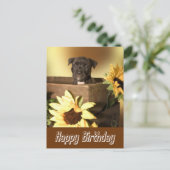 Joyeux Birthday Staffordshire Terrier Dog carte po (Debout devant)