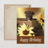 Joyeux Birthday Staffordshire Terrier Dog carte po (Devant / Derrière)