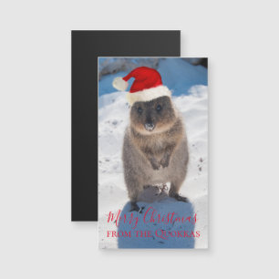 Joyeux bonbon Quokka Joyeux Magnet de Noël personn