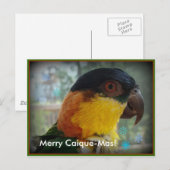Joyeux Caïque-MAS ! Carte postale (Devant / Derrière)