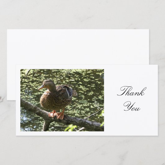 Joyeux canard - Merci (Devant / Derrière)