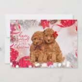 Joyeux caniche de Noël Carte de vacances personnal (Devant)