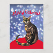 Joyeux Catmas, bengale cat Carte postale (Devant)