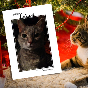 Joyeux Catmas Pet Photo Carte de vacances