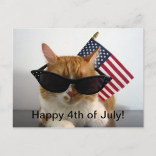 Joyeux chat Cool 4 juillet avec carte postale