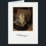 Joyeux Chat d'Anniversaire en Suitcase Card<br><div class="desc">Kiki,  une petite chatte blanche en peluche,  est assise dans une valise ouverte remplie de vêtements emballés.</div>