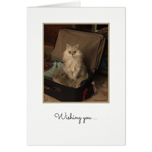 Joyeux Chat d'Anniversaire en Suitcase Card (Devant)