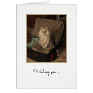 Joyeux Chat d'Anniversaire en Suitcase Card