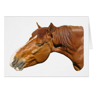 Joyeux cheval