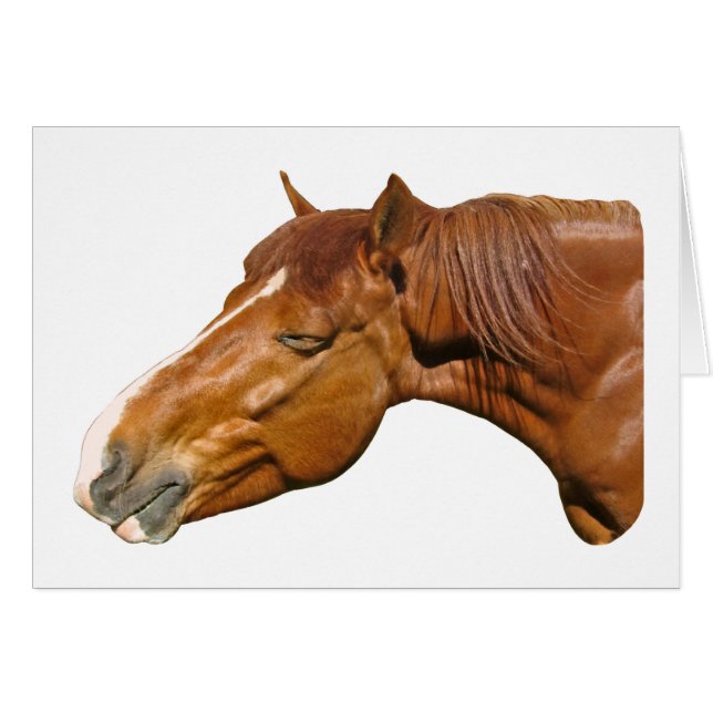 Joyeux cheval (Devant horizontal)