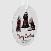 Joyeux Chiens de Noël (devant)