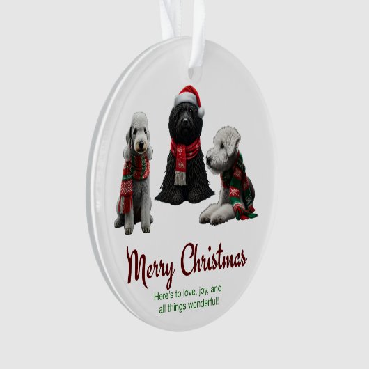 Joyeux Chiens de Noël (devant)