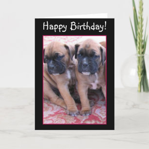 Joyeux chiot Boxer anniversaire carte de voeux