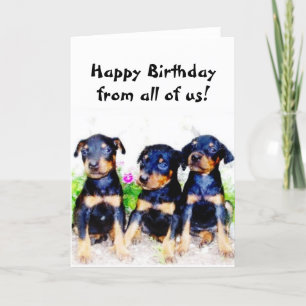 Joyeux chiot Doberman anniversaire carte de voeux