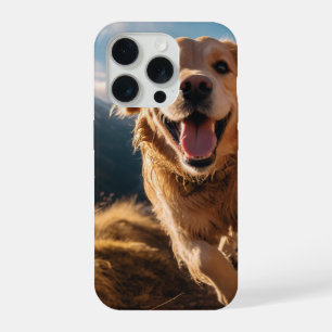 Joyeux Golden Retriever en cours