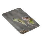 Joyeux Goldfinch et Sunflower Magnet (Côté Droit)