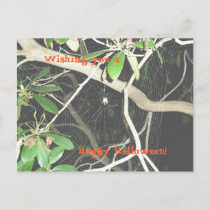 Joyeux Halloween ! Carte postale