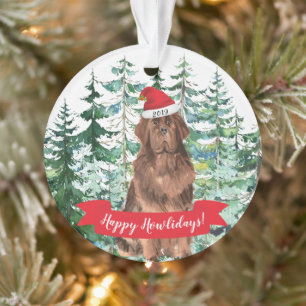 Joyeux Howlidays Chien de Terre-Neuve Noël