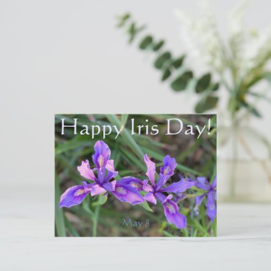 Joyeux Iris Day ! Carte postale (Debout devant)