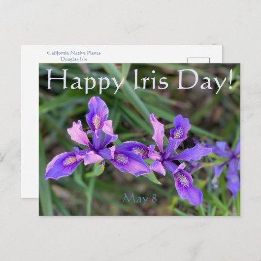 Joyeux Iris Day ! Carte postale (Devant / Derrière)