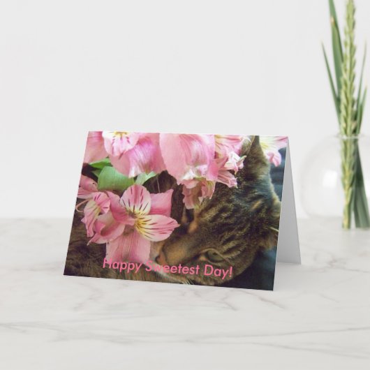 Joyeux Jour le plus Doux ! Carte de vœux (Devant)