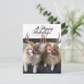 Joyeux jours fériés Sushi et Cartes de fin de anné (Debout devant)