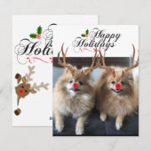 Joyeux jours fériés Sushi et Cartes de fin de anné (Devant / Derrière)