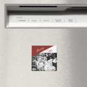 Joyeux, Joyeux - aimant (In Situ (Lave-vaisselle))