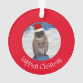 Joyeux Joyeux Noël Quokka Beach Australie (dos)