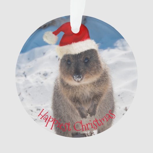 Joyeux Joyeux Noël Quokka Beach Australie (devant)