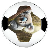 Joyeux Koala Australien Dans L'Arbre, Balle De Foo (Tourné)