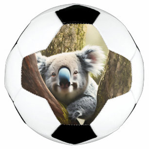 Joyeux Koala Australien Dans L'Arbre, Balle De Foo