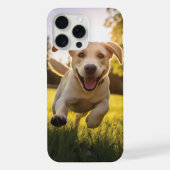 Joyeux Labrador Puppy Running (Verso)