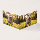 Joyeux Labrador Puppy Running (Outside)