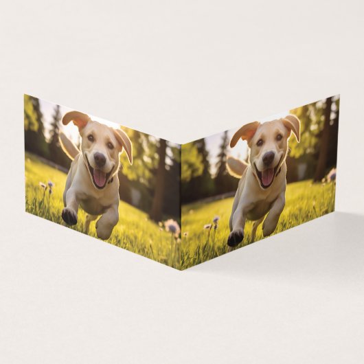 Joyeux Labrador Puppy Running (Outside)